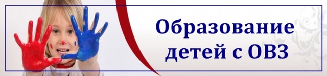 banner-2-sajt-viro2